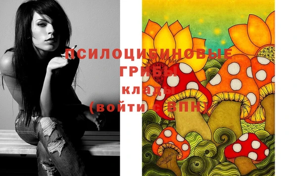 герыч Богородицк