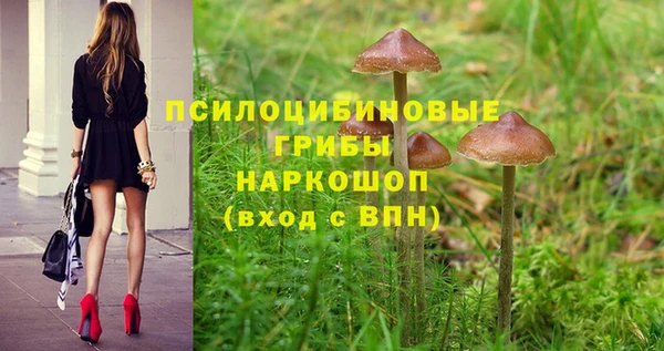 каннабис Богданович