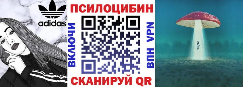 где найти наркотики  Надым  Галлюциногенные грибы мицелий 